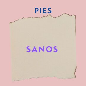 pies_sanos