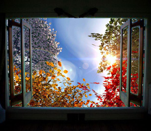 ventana