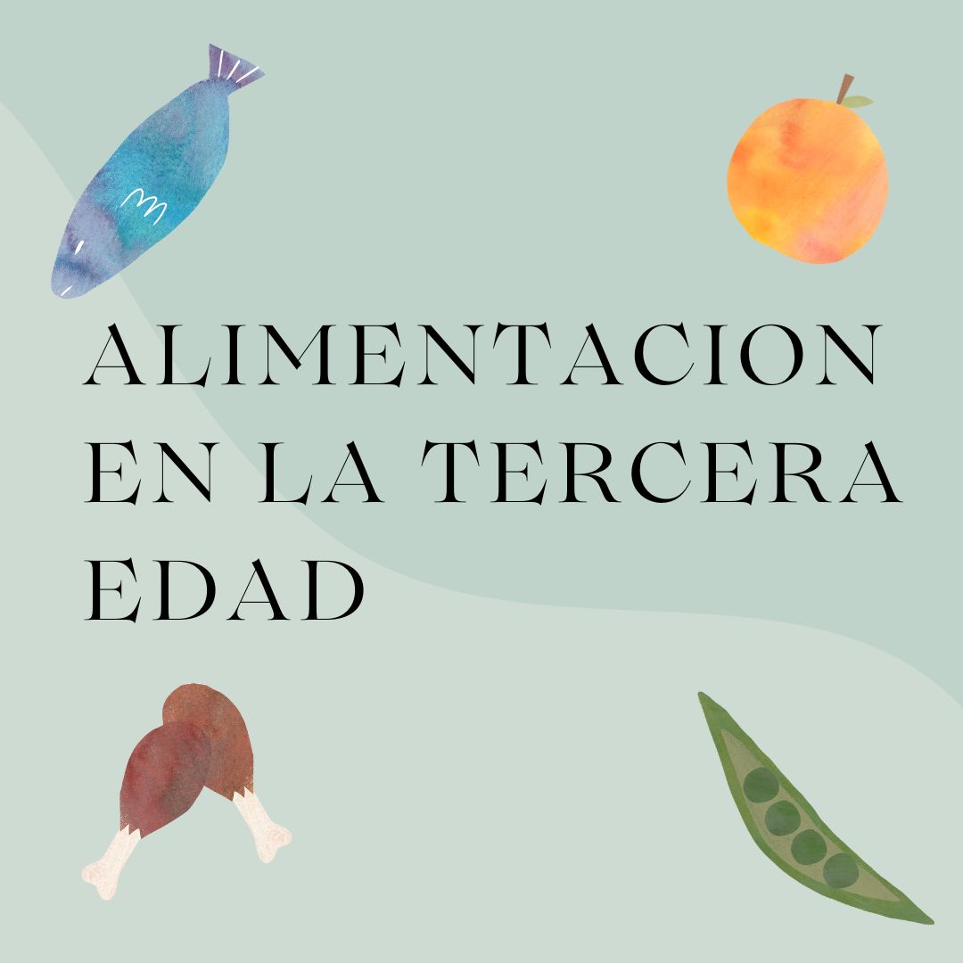 alimentacion