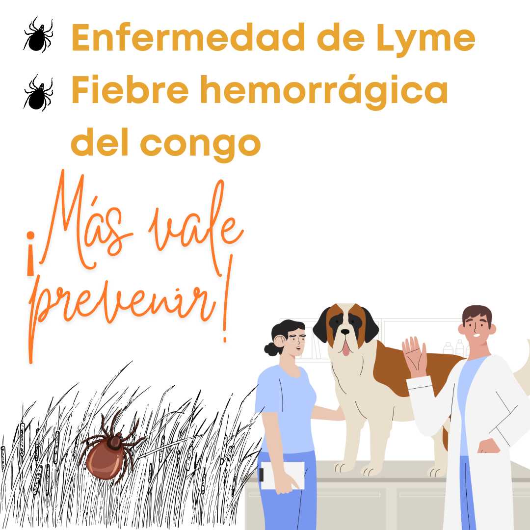 Lyme1