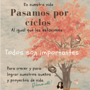 Ciclos de vida