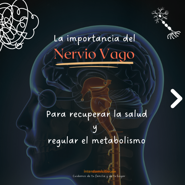 Nervio vago activar